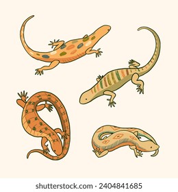 Lizard animal vector illustration set.