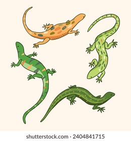 Vektorgrafik-Set von Lizard-Tieren.