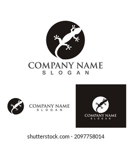 Lizard animals logo and symbols vector temlate