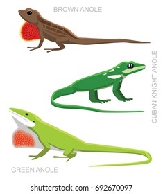 Lizard Anole Set Cartoon Vector Illustration