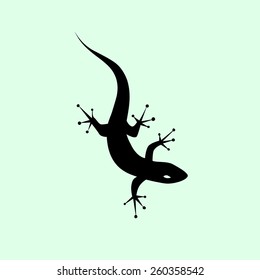 Lizard black isolated. Gecko.