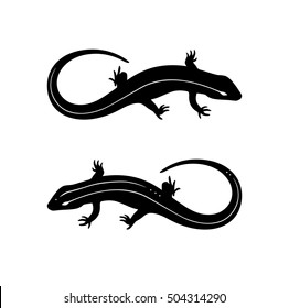 Lizard black and white tattoo illustration vector