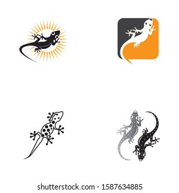 Lizard Chameleon Gecko animall logo and symbol vector illustration