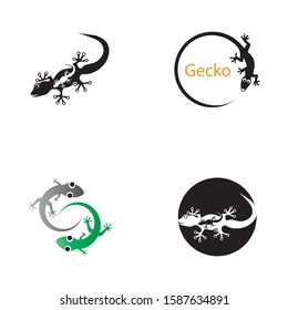 Lizard Chameleon Gecko animall logo and symbol vector illustration