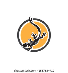 Lizard Chameleon Gecko animall logo and symbol vector illustration