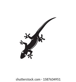 Lizard Chameleon Gecko animall logo and symbol vector illustration