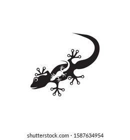 Lizard Chameleon Gecko animall logo and symbol vector illustration