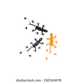 Lizard Chameleon Gecko animall logo and symbol vector illustration