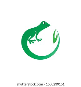 Lizard Chameleon Gecko animall logo and symbol vector illustration