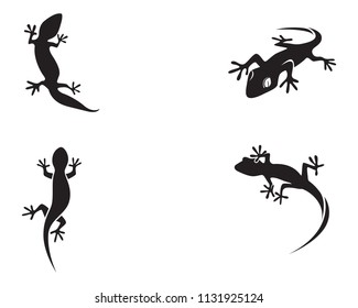 Lizard Chameleon Gecko Silhouette black 