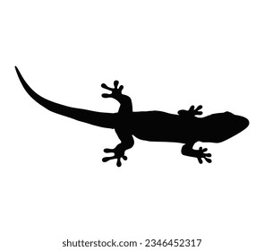 Lizard Chameleon Gecko Silhouette black vector.