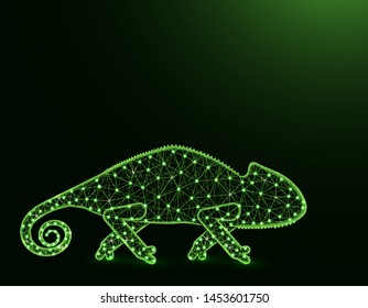 Lizard chameleon low poly model, African animal abstract graphics, reptile polygonal wireframe vector illustration on dark green background