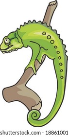 Lizard Character