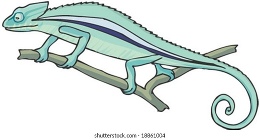 Lizard Character