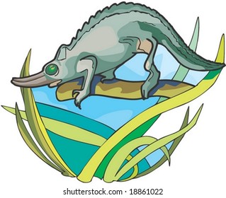 Lizard Character