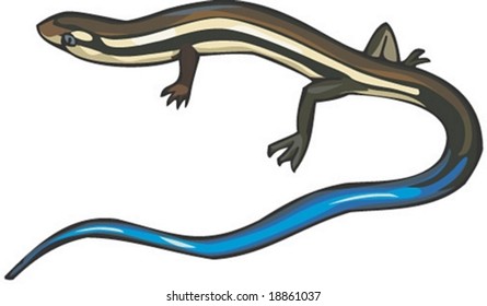Lizard Character