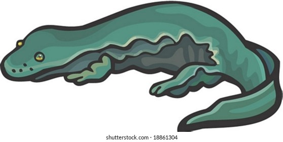 Lizard Character