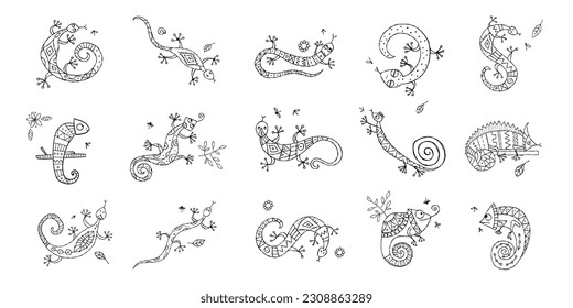 Lizard characters, jungle animal. Chameleon icons set for your design. Colouring page