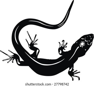The lizard creeps, coiling the flexible body.