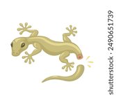 Lizard Drop its tail to Defense Mechanism Cartoon Illustration Vector