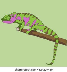 lizard exotic reptile chameleon, cartoon vector