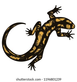 Lizard - Fiery Salamander, isolated on white, vector illustration