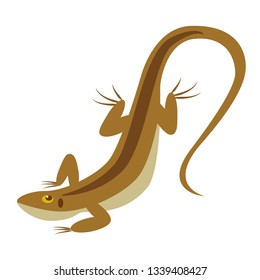 lizard flat illustration isolated on white. Forest and wild life series
