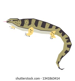 lizard flat illustration Wild life plants and animals series