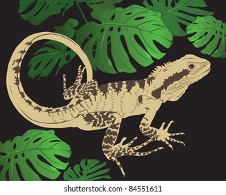 Lizard and flower monster