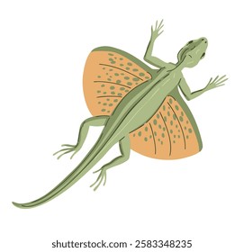 Lizard flying dragon. Small reptile. Nature and fauna. Wildlife, animals and zoology. Vector illustration isolated on white background