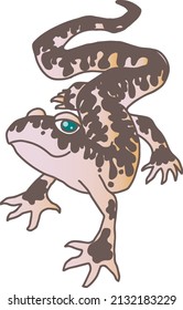 lizard gecko leopard vector isolated hand drawing