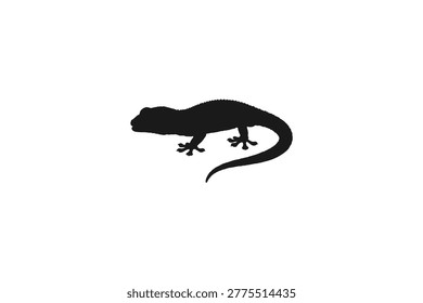 Lizard or gecko reptile animal side view silhouette