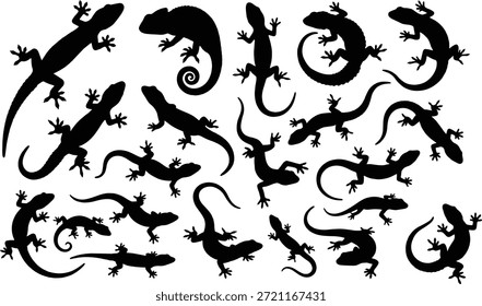 Conjunto de Vector de silueta de lagarto y geco, poses de reptil negro, tema de la naturaleza, anatomía animal, movimiento de arrastre, ilustración biológica