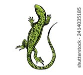 Lizard hand drawn color sketch engraving vector illustration. Scratch board style imitation. Hand drawn image.