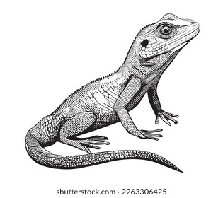 Lizard handgezeichnet Skizze Vektorgrafik Tierreptilien