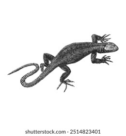 Lagarto, esboço desenhado à mão em vetor, ilustração vintage de réptil em estilo de gravação