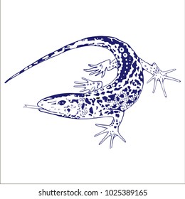 Lizard hand sketch. Vector illustration.