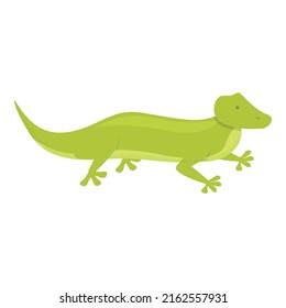 Lizard icon cartoon vector. Iguana salamander. Gecko reptile