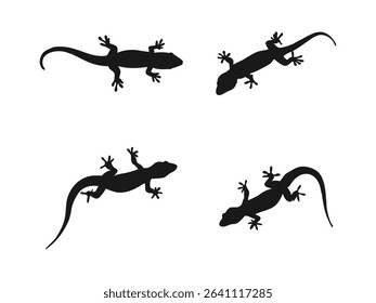 Lizard icon design template. Gecko Lizard silhouette set collection isolated black on white background.