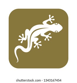 Lizard icon. Lizard graphic symbol. Isolated sign in a rectangle on white background. Vector illustration