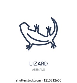 Lizard icon. Lizard linear symbol design from Animals collection. Simple outline element vector illustration on white background.