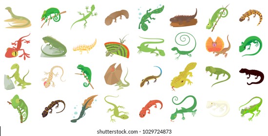 Lizard icon set. Cartoon set of lizard vector icons for web design isolated on white background