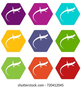 Lizard icon set many color hexahedron isolated on white vector illustration