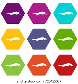 Lizard icon set many color hexahedron isolated on white vector illustration