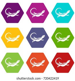 Lizard icon set many color hexahedron isolated on white vector illustration
