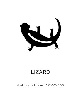 Lizard icon. Lizard symbol design from Animals collection. Simple element vector illustration on white background.