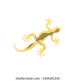 lizard icon, symbol design template 