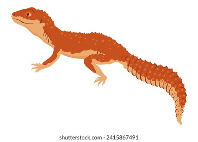 Icono de lagarto. Anfibio tropical colorido decorativo. Carácter de fauna en la fauna o en el zoológico. Criatura de color de la vida salvaje aislada en ilustración vectorial blanca