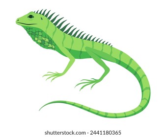 Icono de lagarto. Anfibio decorativo colorido tropical. Personaje de la fauna en la vida silvestre o zoológico. Criatura colorida de la vida salvaje aislada en ilustración vectorial blanca