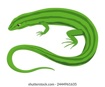 Icono de lagarto. Anfibio decorativo colorido tropical. Personaje de la fauna en la vida silvestre o zoológico. Criatura colorida de la fauna aislada en Ilustración vectorial blanca